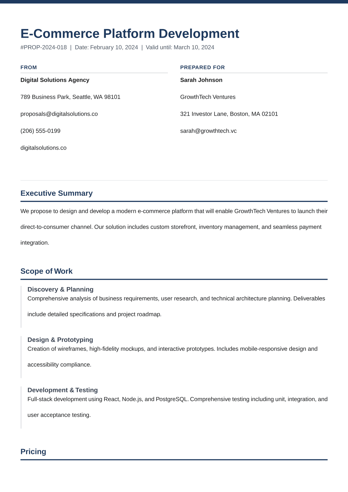 Professional proposal template preview